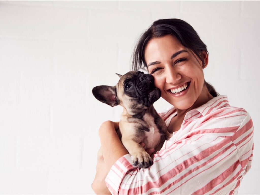 about-pet-hub