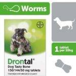 drontal deworming