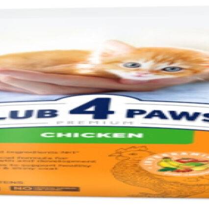 club 4 paws kitten