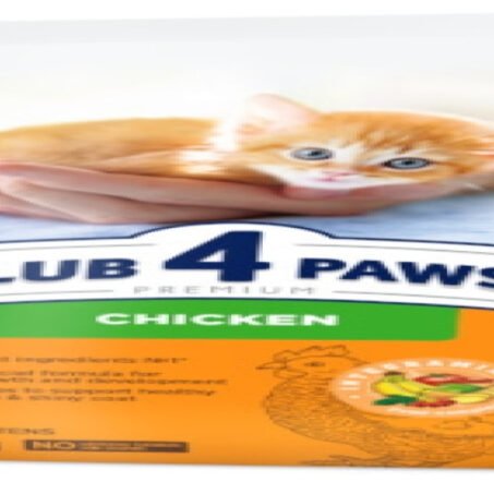 club 4 paws kitten
