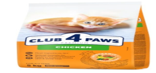 club 4 paws kitten