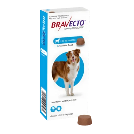 A blue box of Bravecto Large Dog (20 - 40 kg) chewable tablet for 3 continuous months of flea and tick protection.