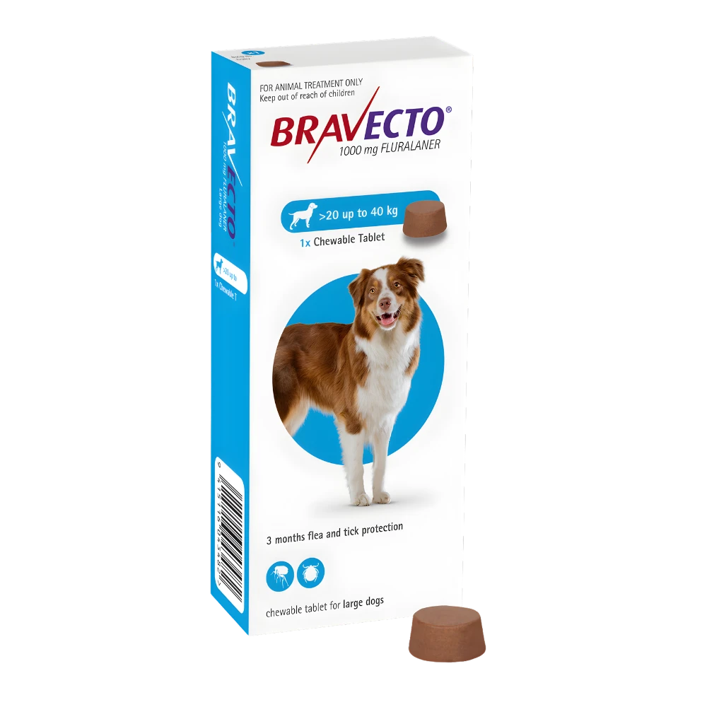 A blue box of Bravecto Large Dog (20 - 40 kg) chewable tablet for 3 continuous months of flea and tick protection.