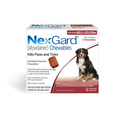 NexGard chewable tablet | fleas & ticks protection | one tablet