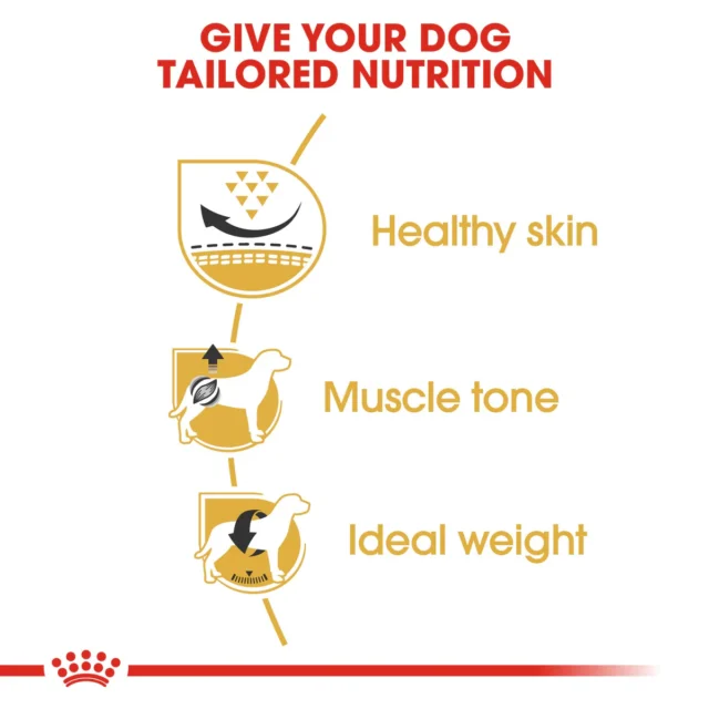ROYAL CANIN Pug Adult Dry Food | 1.5 kg - Image 2