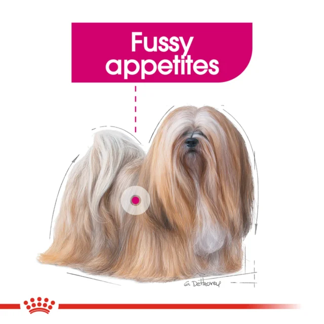 Royal Canin Mini Exigent (3 KG) - Image 3