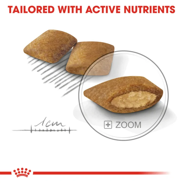 Royal Canin Mini Exigent (3 KG) - Image 2