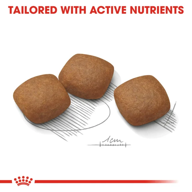 ROYAL CANIN® Maxi Joint Care Dog Dry Food - Image 2