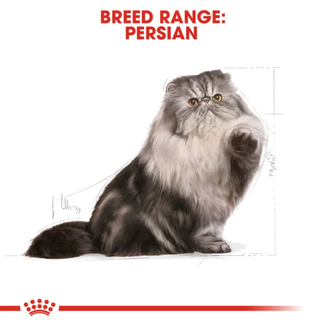 ROYAL CANIN Persian Adult Dry food - Image 3