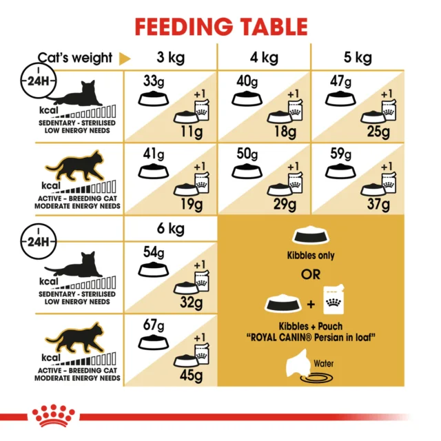 ROYAL CANIN Persian Adult Dry food - Image 5