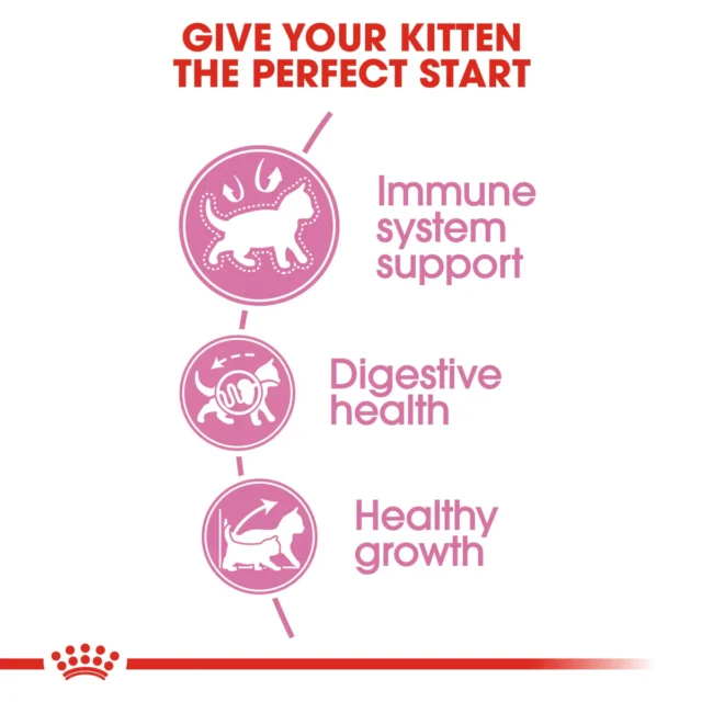 Royal Canin Kitten Dry Food - Image 4