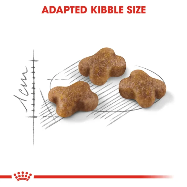 Royal Canin Kitten Dry Food - Image 2