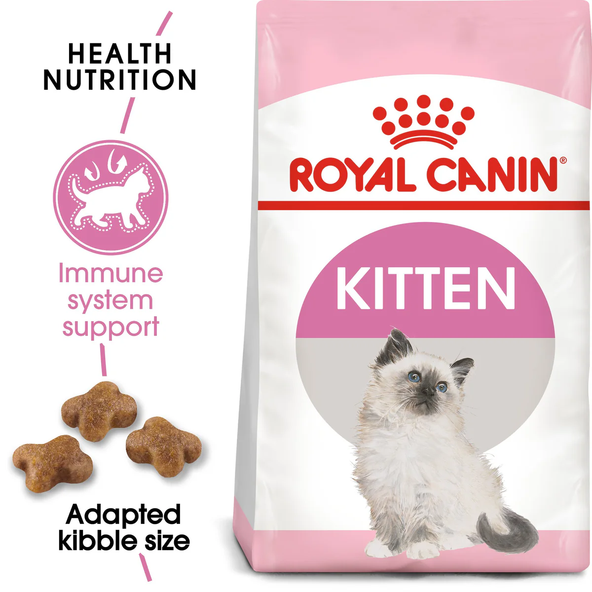 royal canin kitten dry food