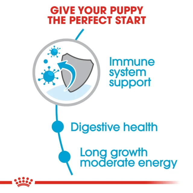 ROYAL CANIN Maxi Puppy Dry Food - Image 4