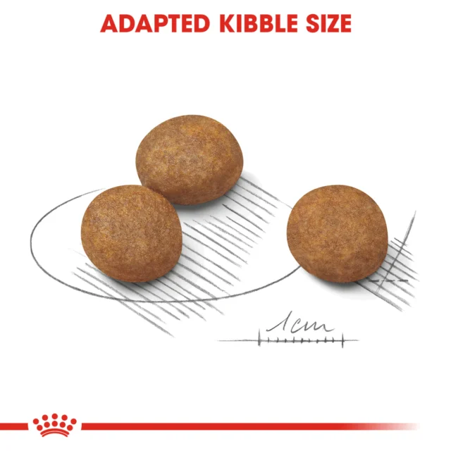 ROYAL CANIN Maxi Puppy Dry Food - Image 2
