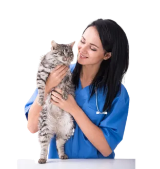Cat wellness