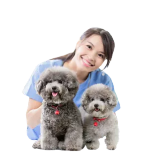Dog Wellness
