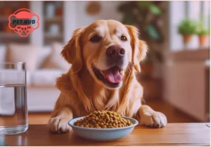 A happy golden retriever dog enjoying a bowl of healthy dog food with fresh water nearby.