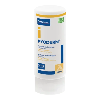 A 250ml white bottle of Virbac Pyoderm Dermatological Shampoo containing chlorhexidine for dogs and cats, featuring eco-friendly packaging.